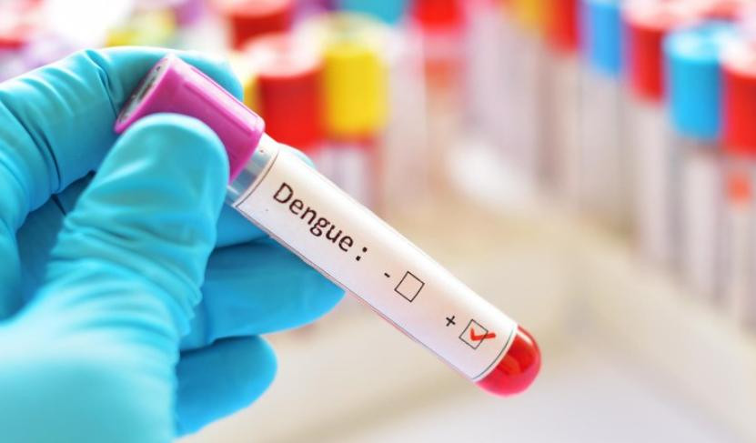 La ANMAT aprobó la vacuna contra el dengue