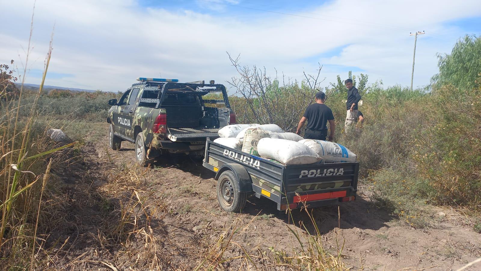 Secuestraron un importante cargamento                            de pasas de uva en Caucete