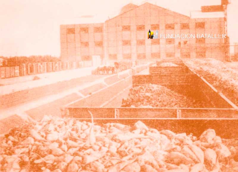 La Azucarera de Cuyo