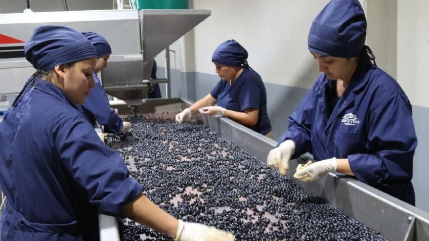 Las exportaciones de vino caen en picada 