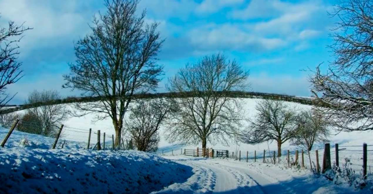 Música para escuchar en invierno