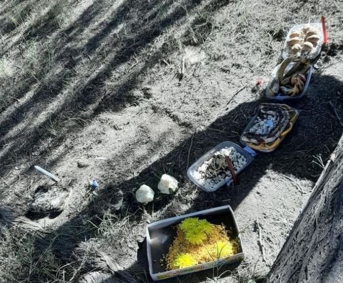 Ritual en Avenida Circunvalación