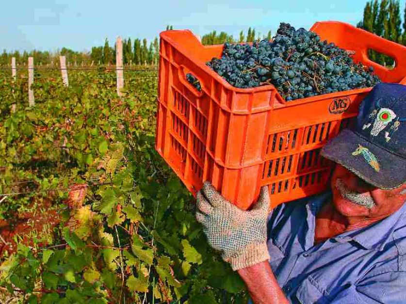San Juan entre las tres provincias donde más creció el crédito productivo