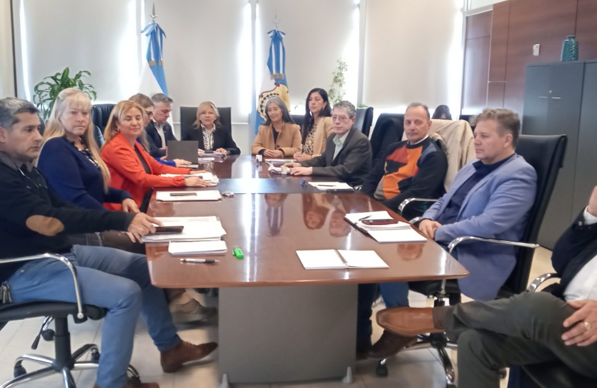 Paritaria docente 22 de agosto