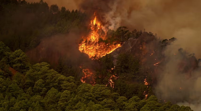 7.600 personas evacuadas por un incendio incontrolable en la isla española de Tenerife