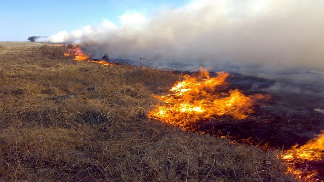 Incendio2 1