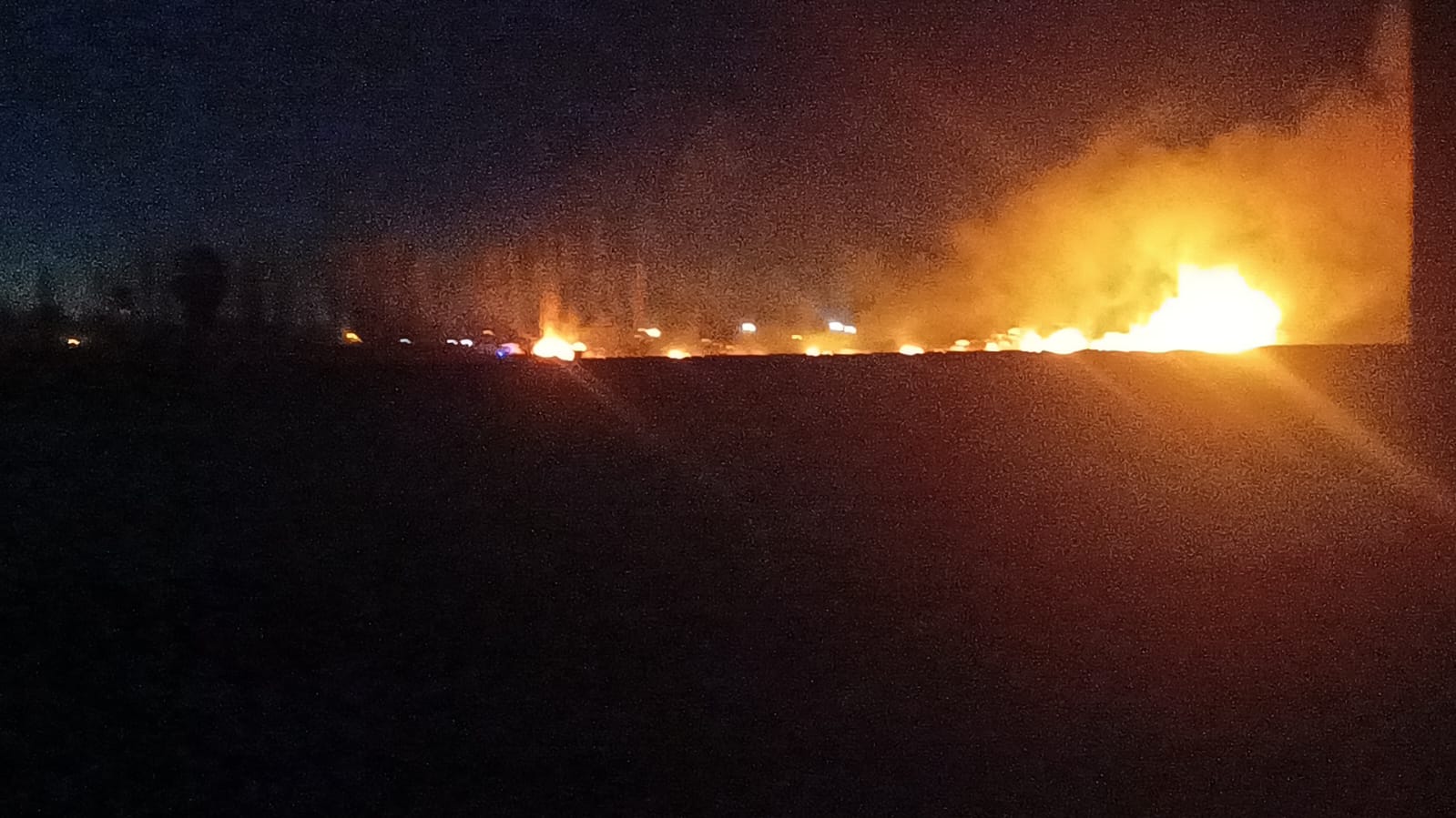 Incendios de campos, árboles caídos y cortes de luz, el saldo del viento Zonda del fin de semana