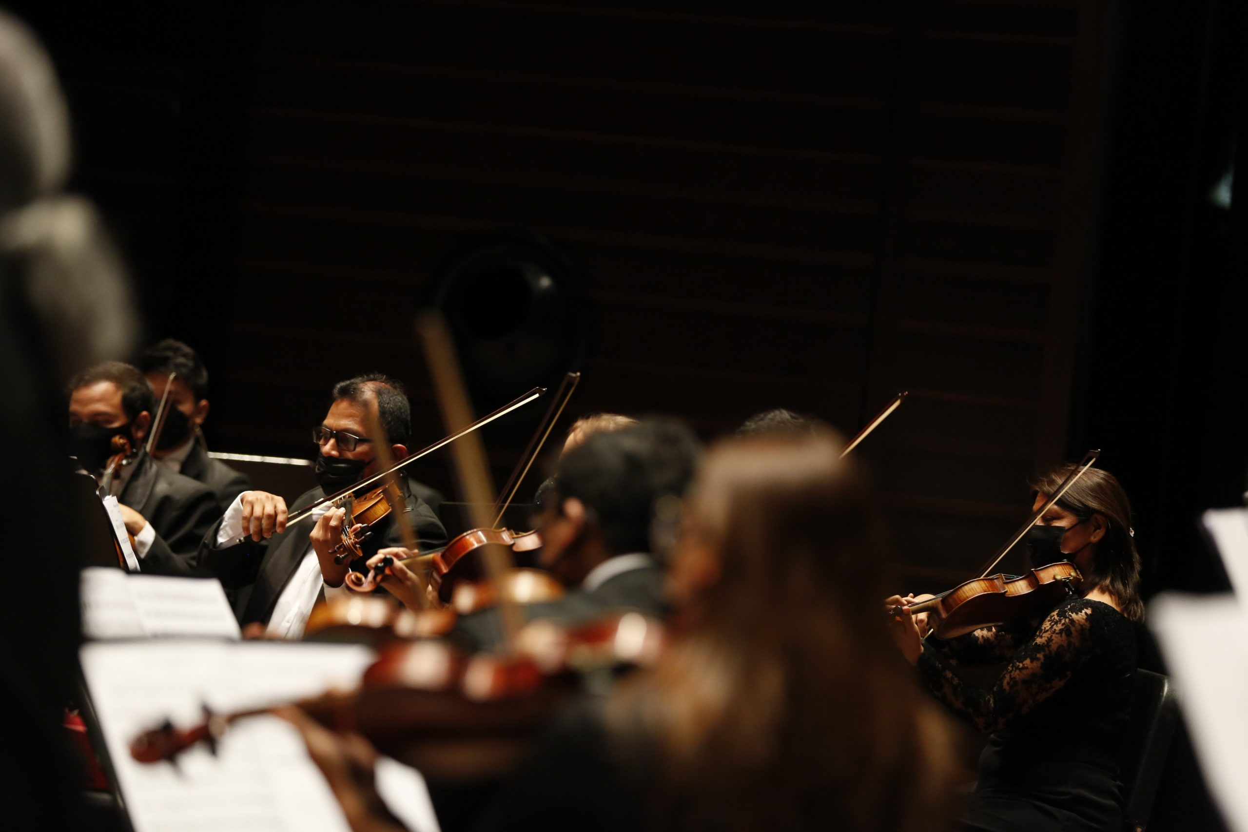 Vuelve el festival en homenaje a Bach
