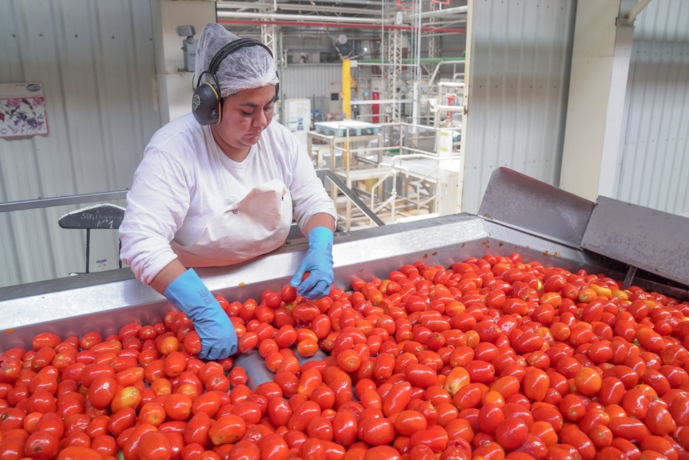 Día de la Industria sanjuanina: optimismo y nuevos desafíos en un contexto adverso