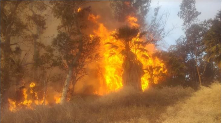 Incidencia del Zonda: Hubo 36 intervenciones de Bomberos, todo el personal afectado al operativo