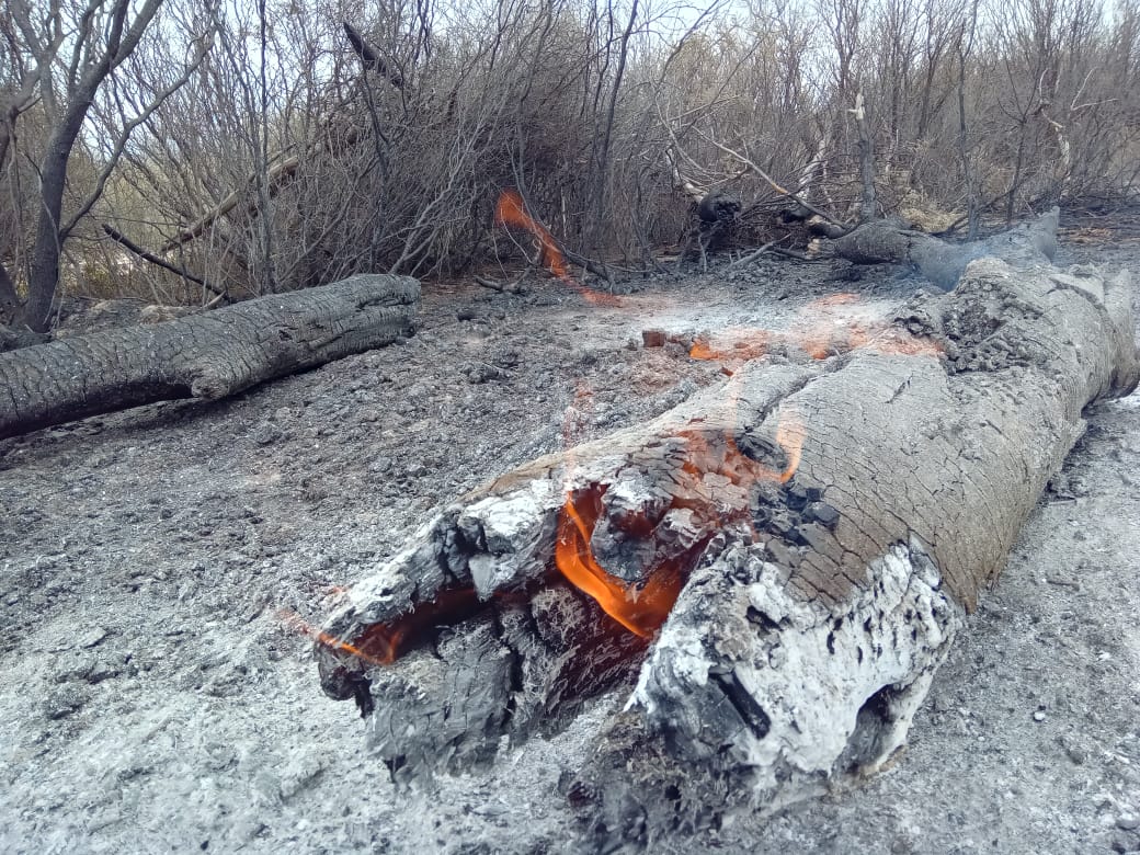 Zonda: en alerta ante nuevos focos de incendio