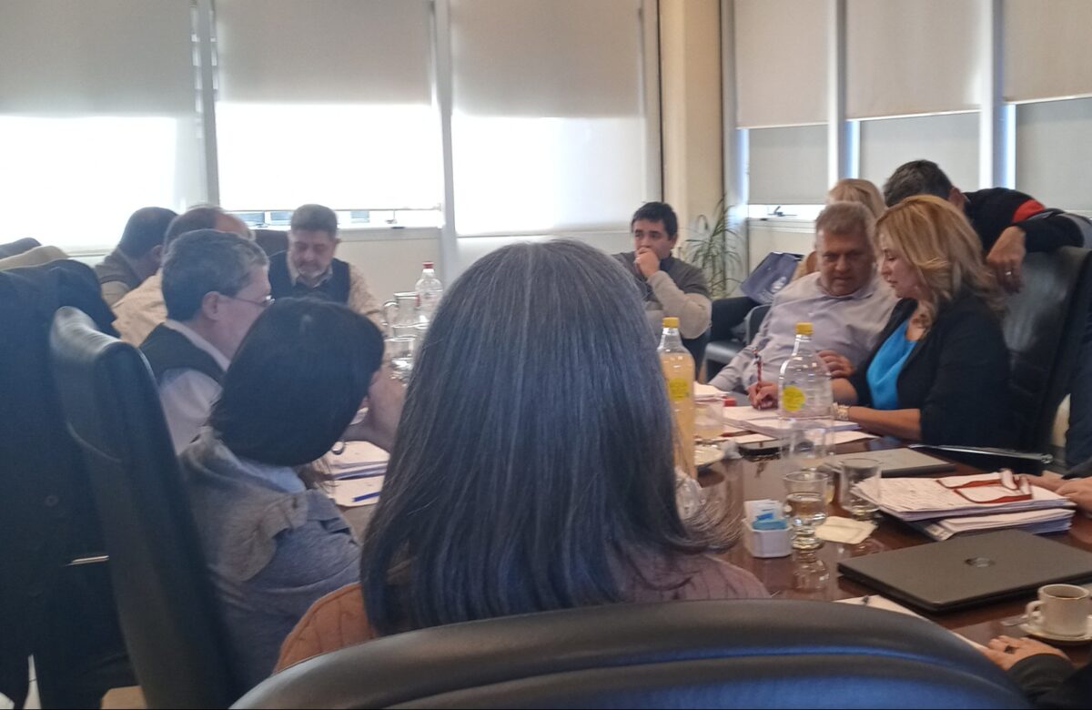 Ministra de Educación con gremios