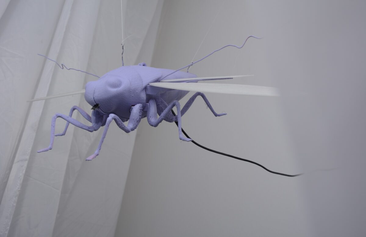 Nueva muestra en el foyer del Museo de Bellas Artes