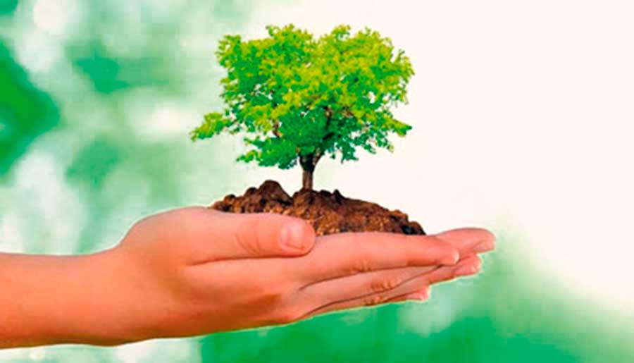Derechos de incidencia colectiva