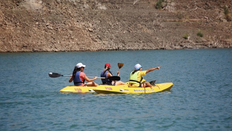 Kayak
