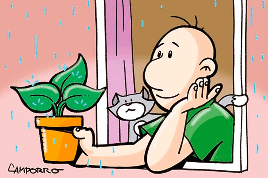 Sueño de una noche de verano