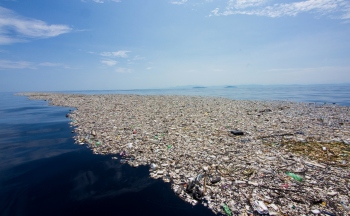 Tres datos alarmantes sobre la Isla de Plástico en el Pacífico