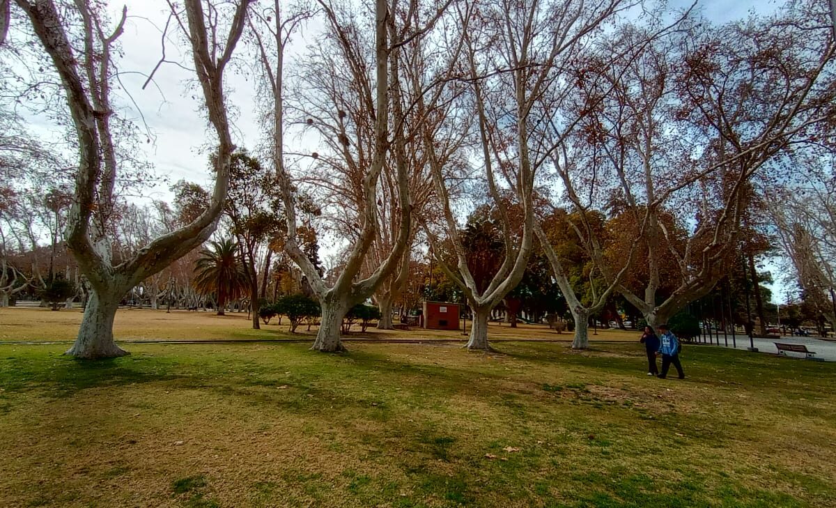 Encaran una remodelación integral del Parque de Mayo