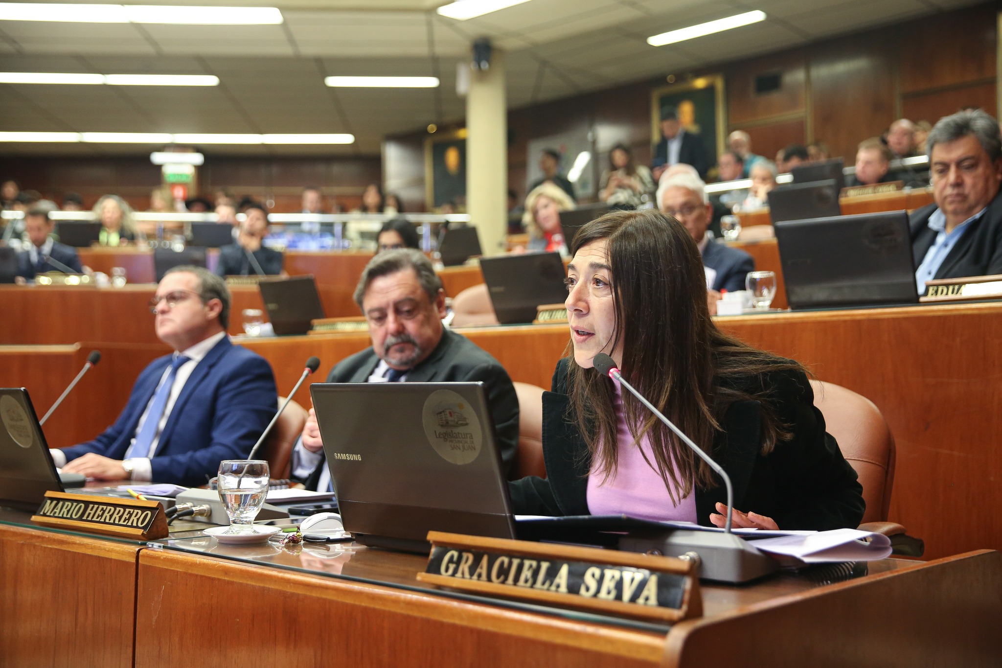 Graciela Seva: «Garantizar la unidad para un PJ de puertas abiertas»