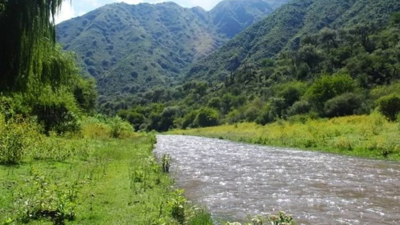 San Juan aseguró $230 millones para la preservación de sus bosques nativos