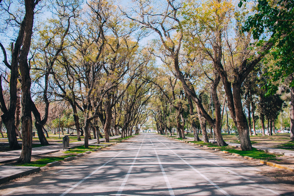 parque de mayo