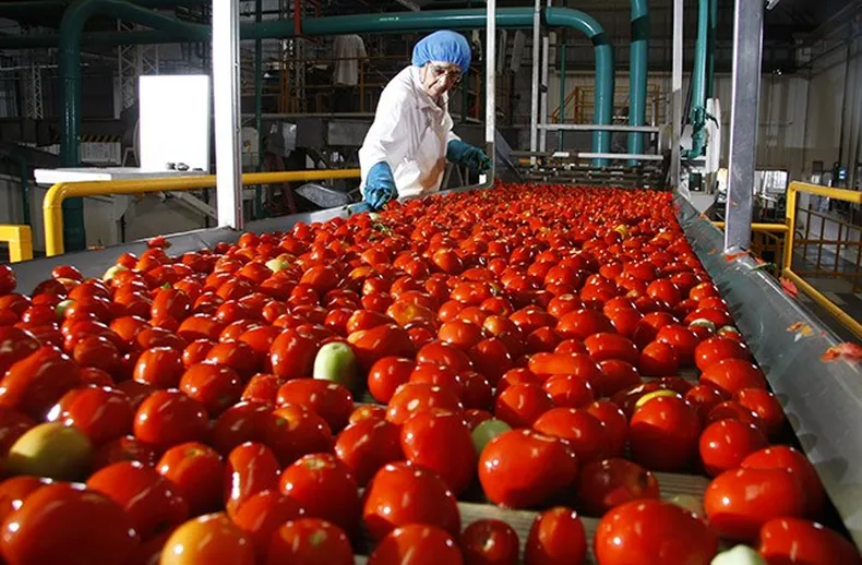 Las exportaciones locales crecieron un 41% en el primer semestre del 2024