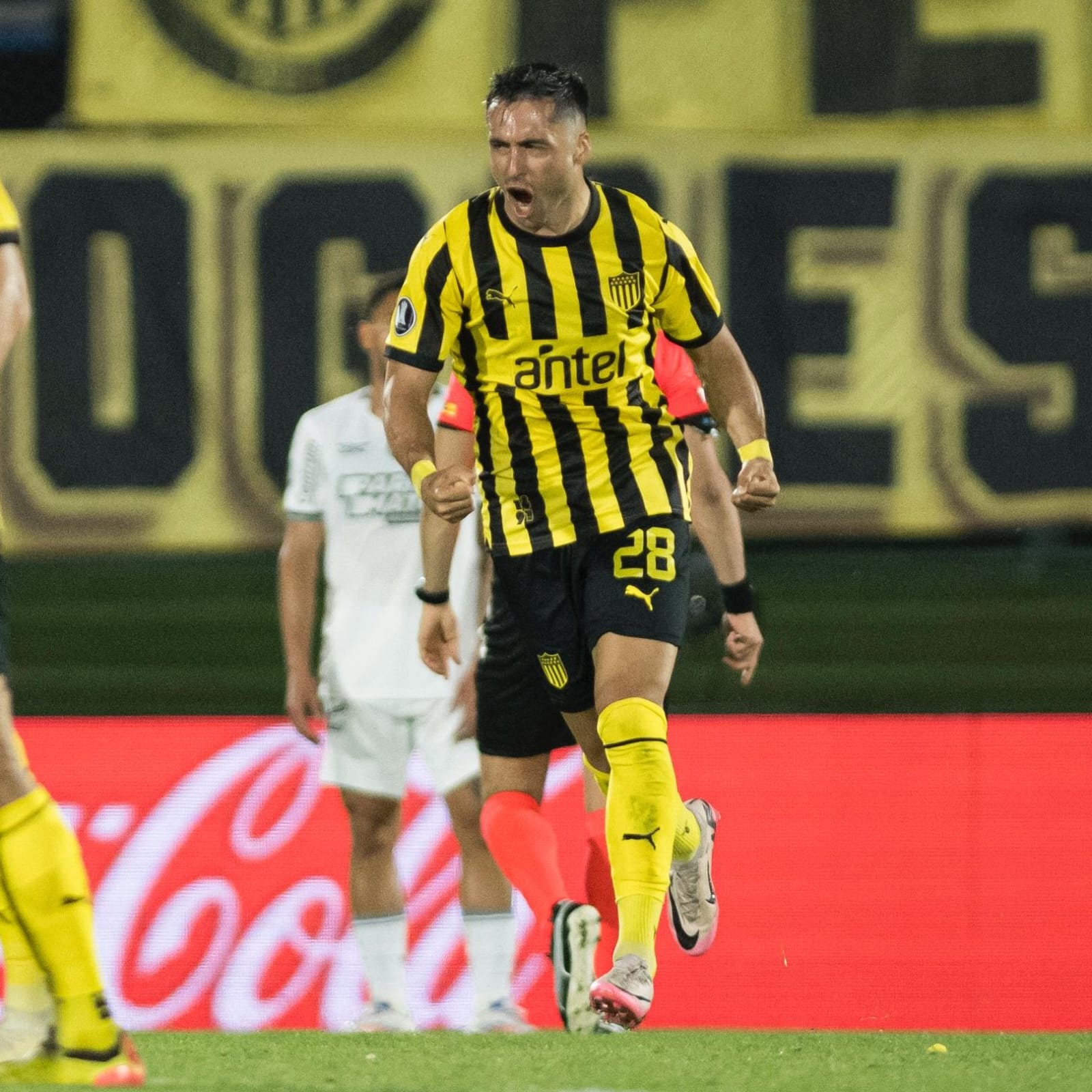 Copa Libertadores: Peñarol batalló pero Botafogo está en la Final