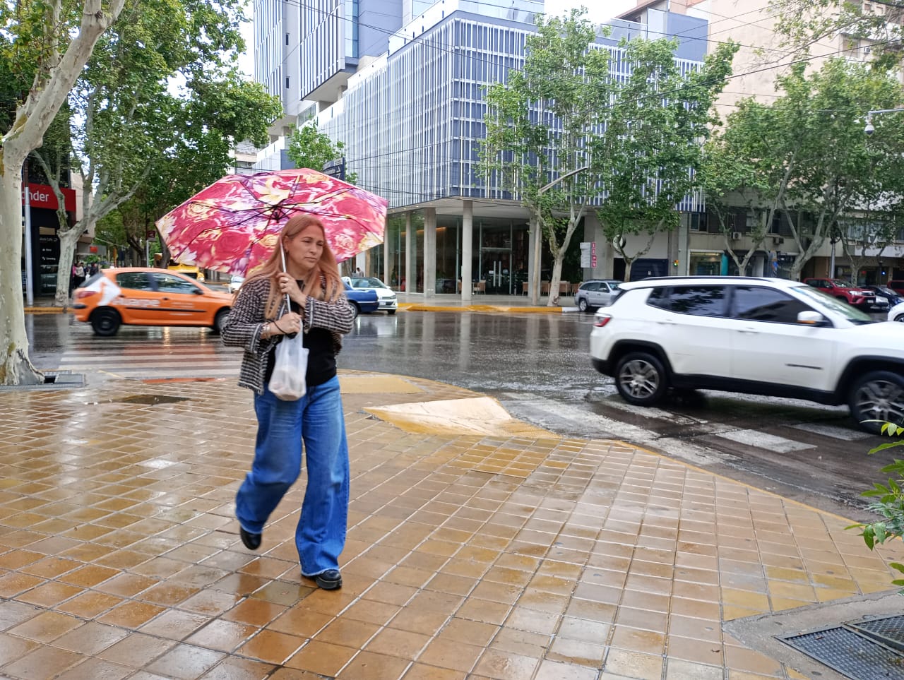 El SMN emitió un alerta por caída de granizo y lluvia fuerte en 9 departamentos para este lunes