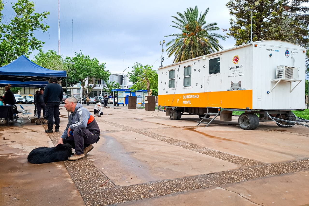 Pocito: realizan esterilizaciones a las mascotas en la Plaza La Libertad