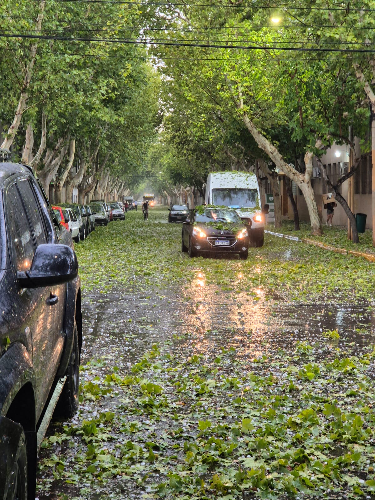 La tormenta llegó al Gran San Juan y cayó gran cantidad de granizo
