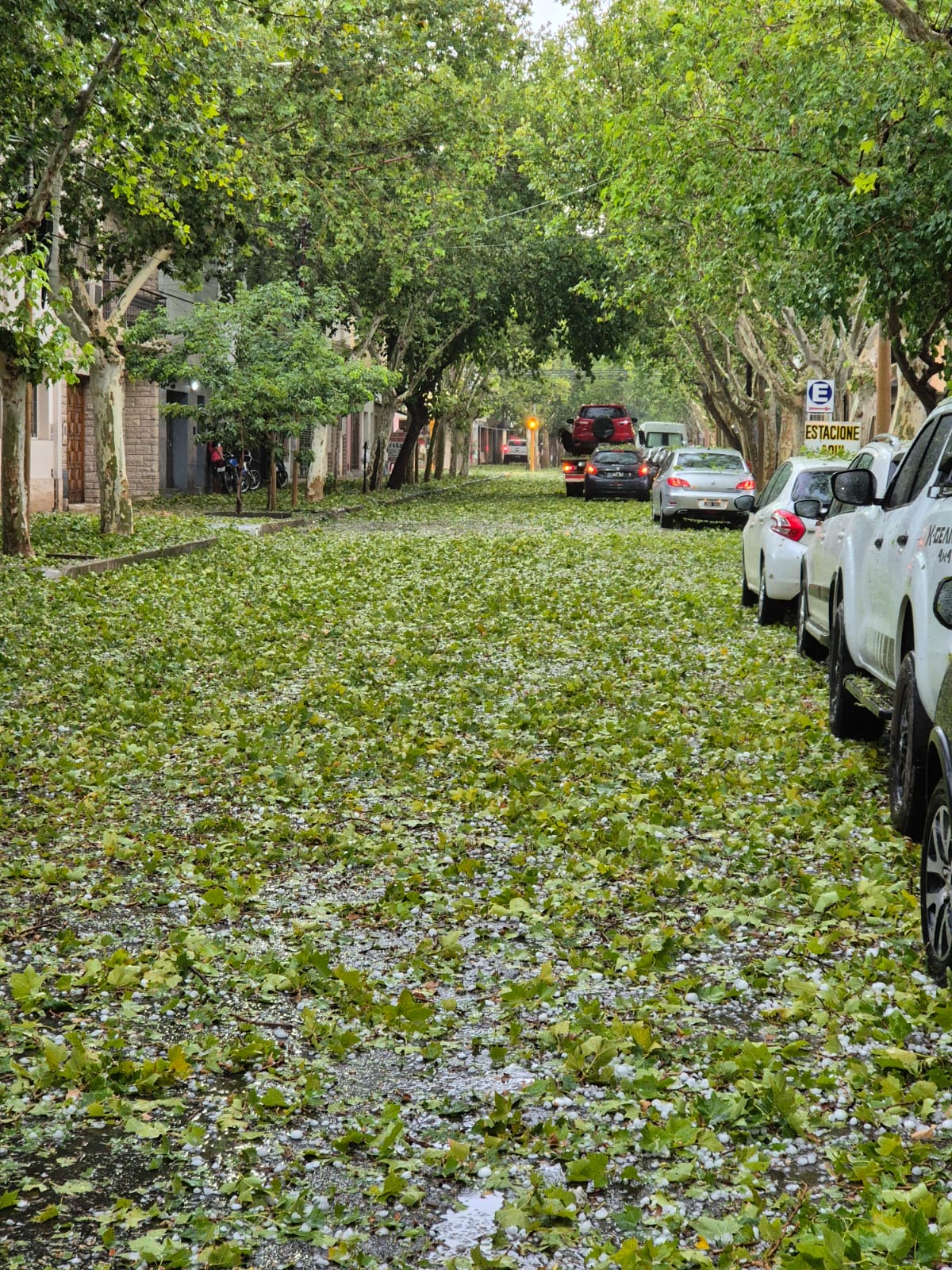 El temporal afectó a departamentos urbanos y no tanto a los rurales