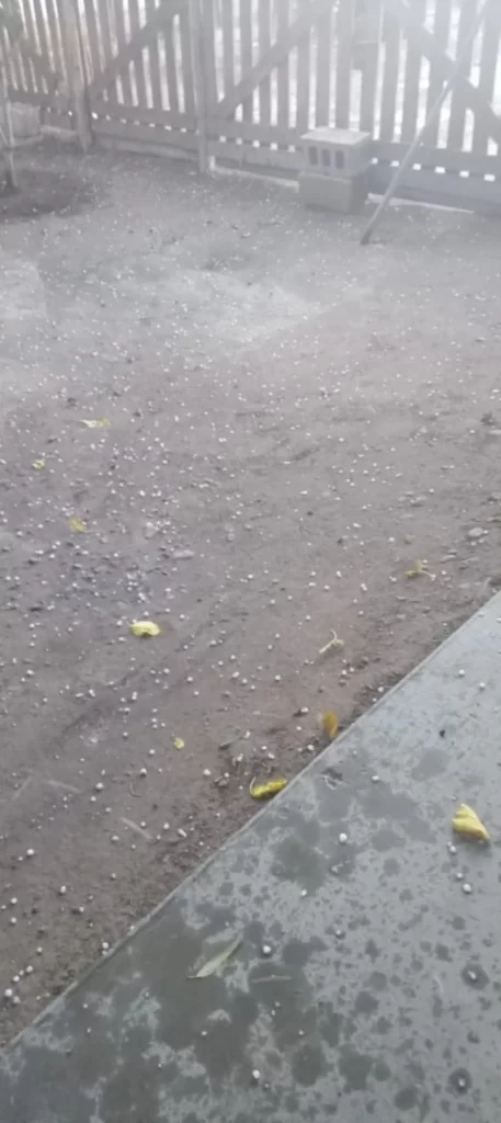1000079474