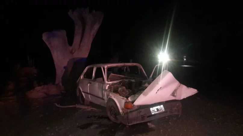 Un joven se quedó dormido y se estrelló contra un árbol en Ruta 162