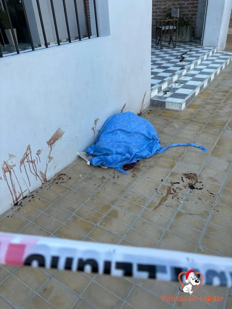 Sin motivo aparente, un hombre que comía en un restorán en Chimbas acuchilló a un un perro