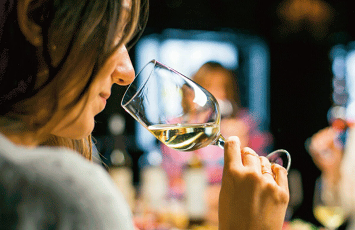 De palabras del vino en el breve diccionario de la vid y del vino (2006)