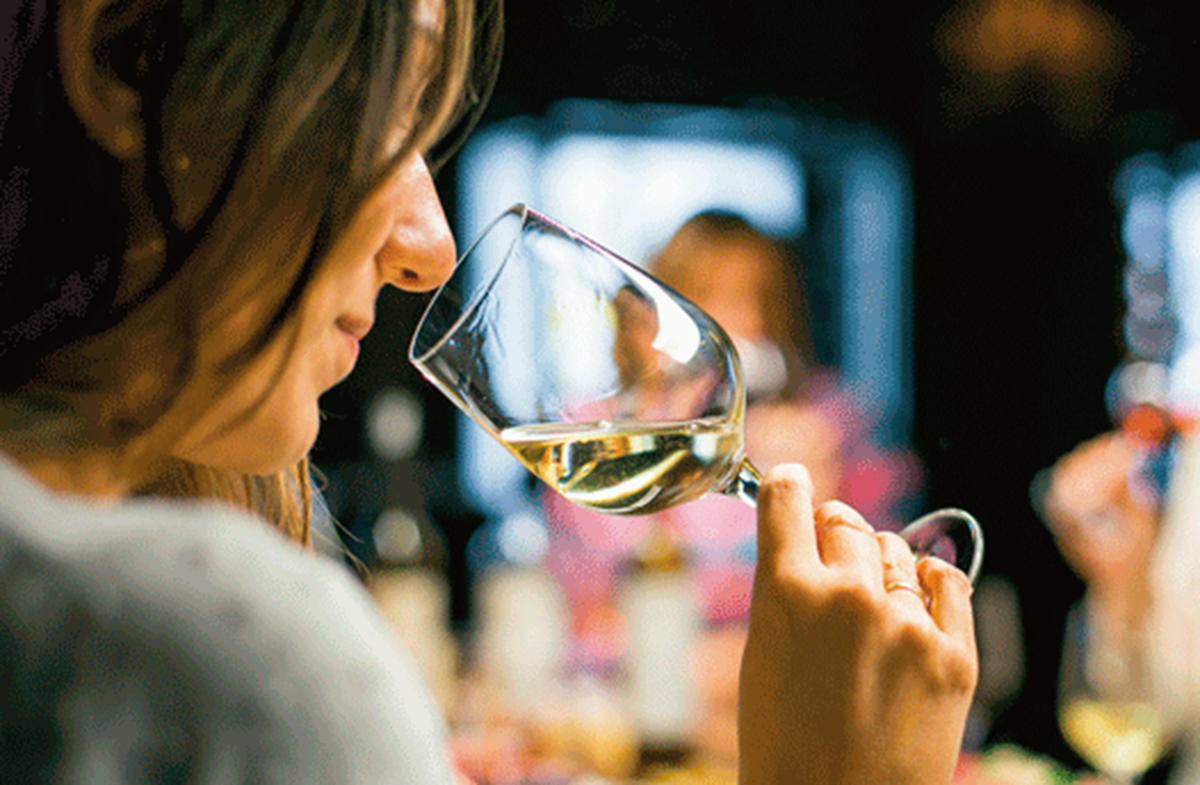 De palabras del vino en el breve diccionario de la vid y del vino (2006)