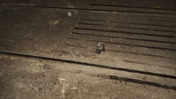 En Sarmiento: un hombre fue arrollado por un tren cuando cruzaba las vías