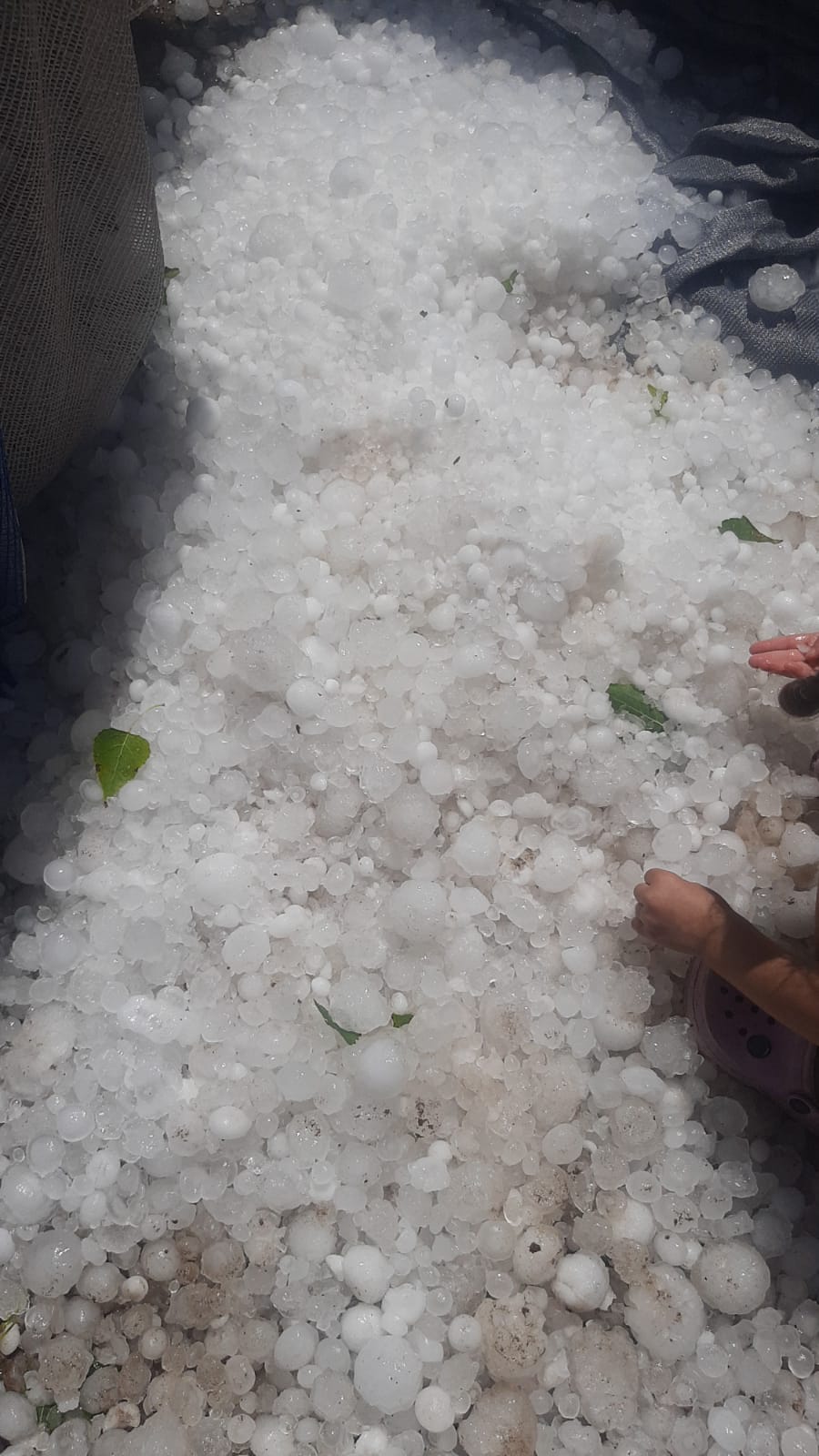 En imágenes: La tormenta de granizo llegó con fuerza a Sarmiento y 25 de Mayo y se registró  graves daños
