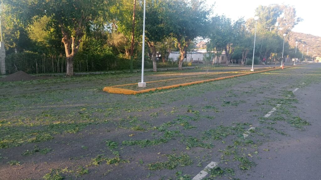 WhatsApp Image 2025 01 06 at 07.29.28 1