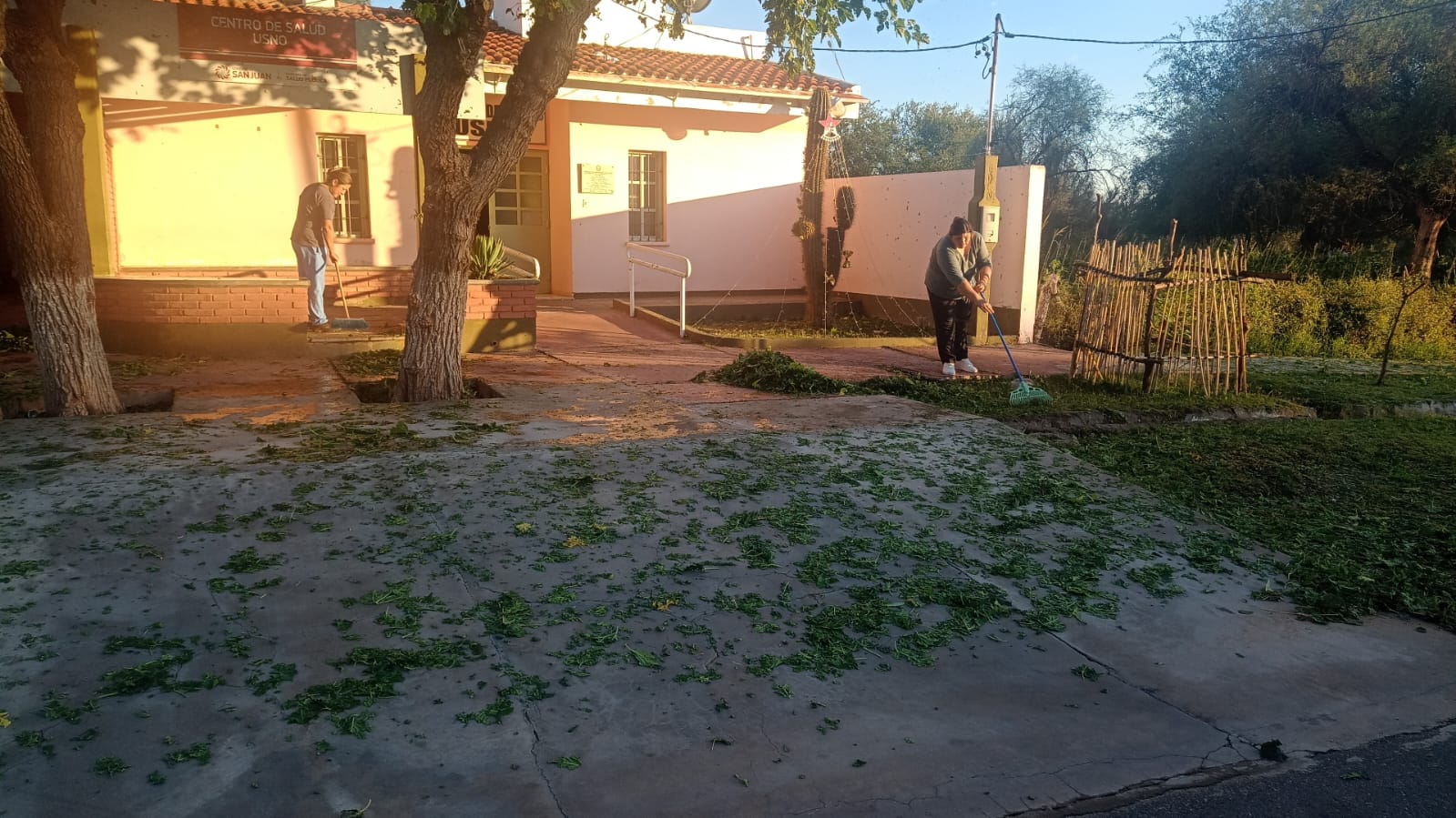 Un impactante temporal azotó a Valle Fértil y asustó a los vecinos: hubo árboles caídos y casas de familia afectadas