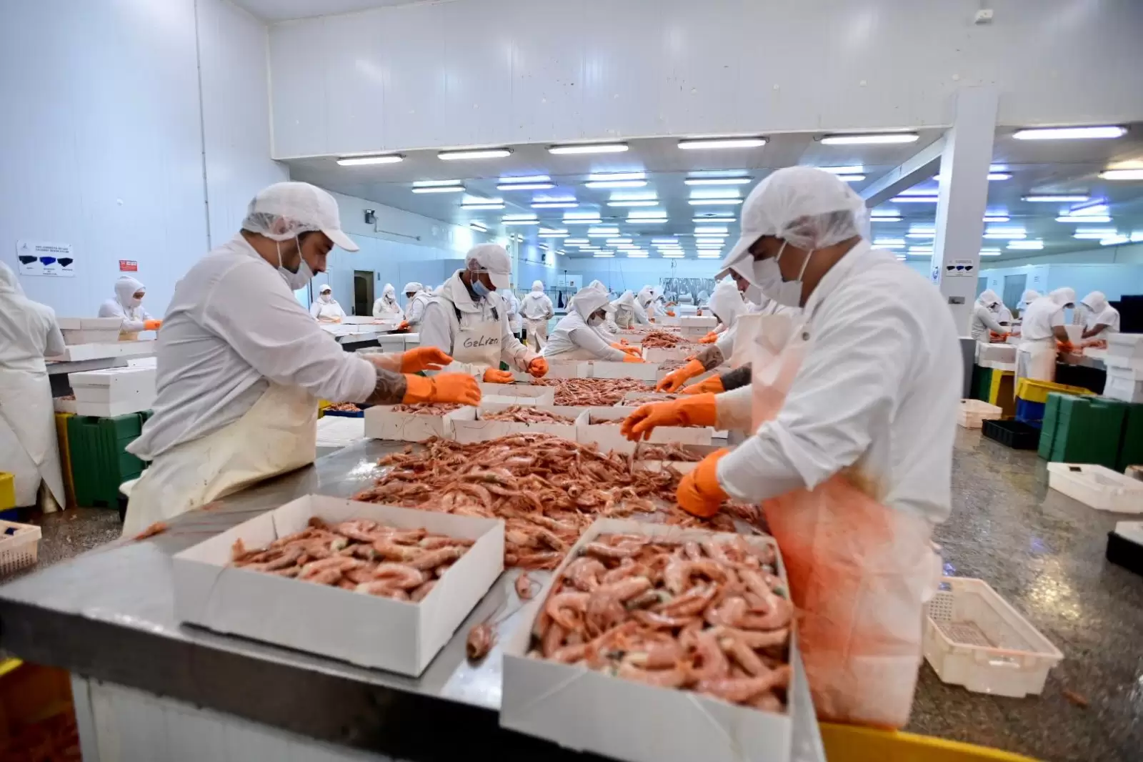 Los propietarios de la Mina Gualcamayo, compraron una importante pesquera nacional