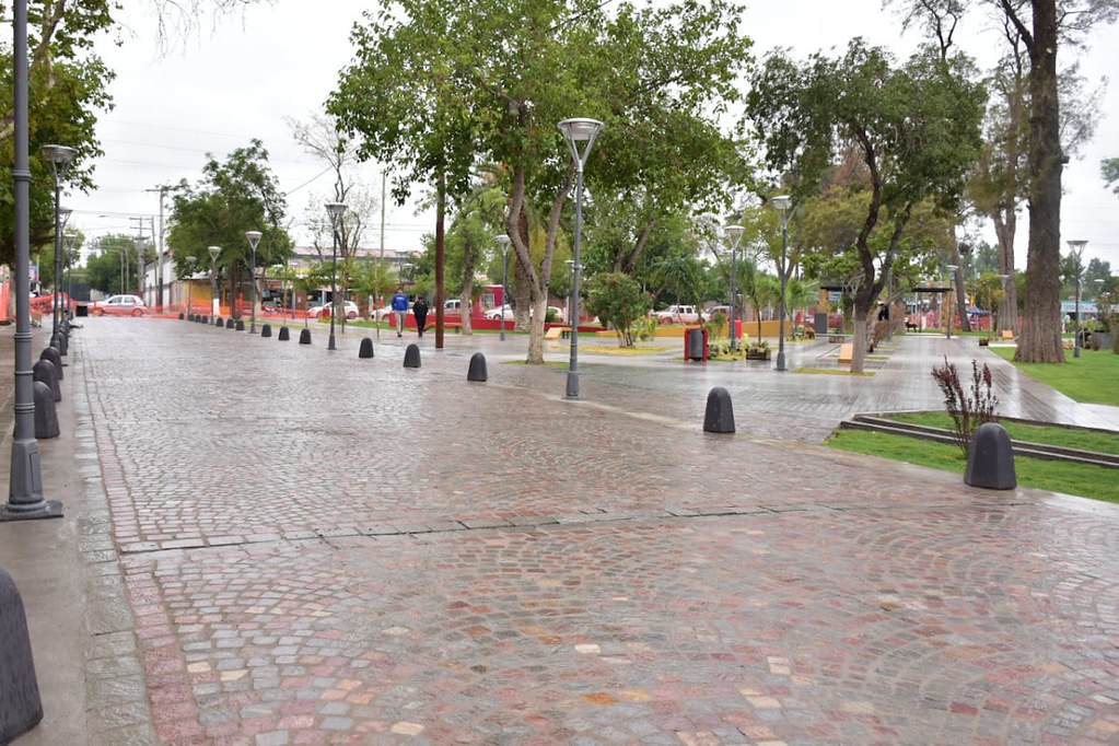 Tras viralizarse el caso de un chico que dormía en la Plaza de Chimbas, fue asistido y se conoció detalles de su historia: «Él pidió ser sacado de su hogar»