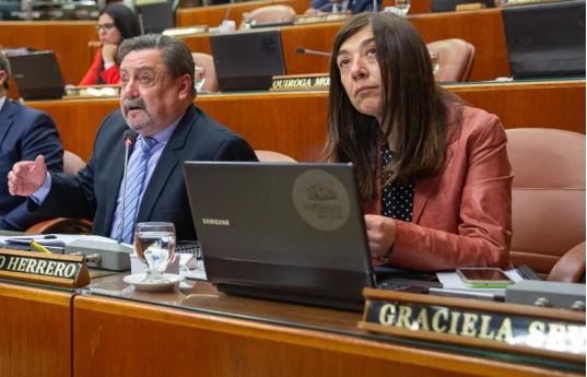 Diputados giojistas presentan un proyecto de reforma electoral con primarias voluntarias y lista sábana
