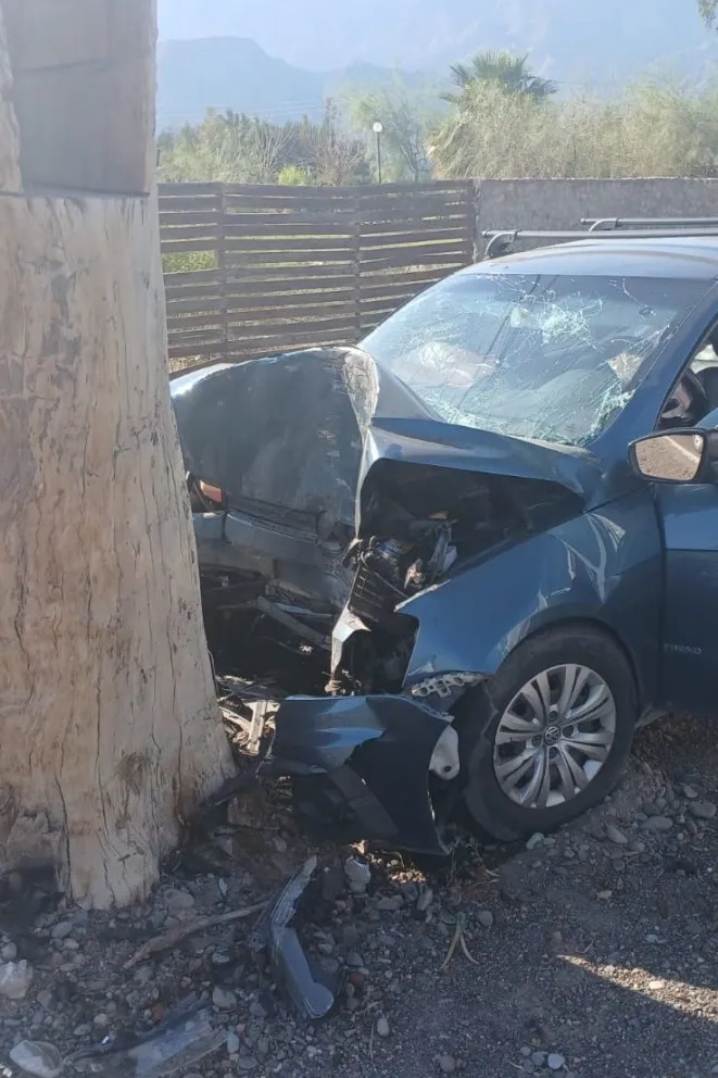 Un hombre chocó contra un árbol en Zonda