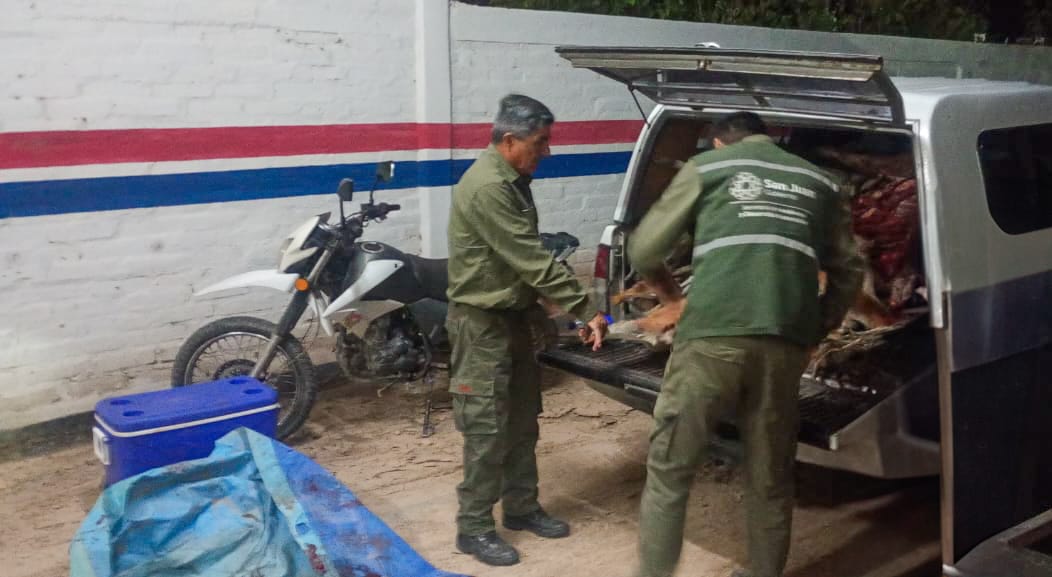 Cazadores furtivos fueron interceptados con guanacos muertos y armas en el Villicum