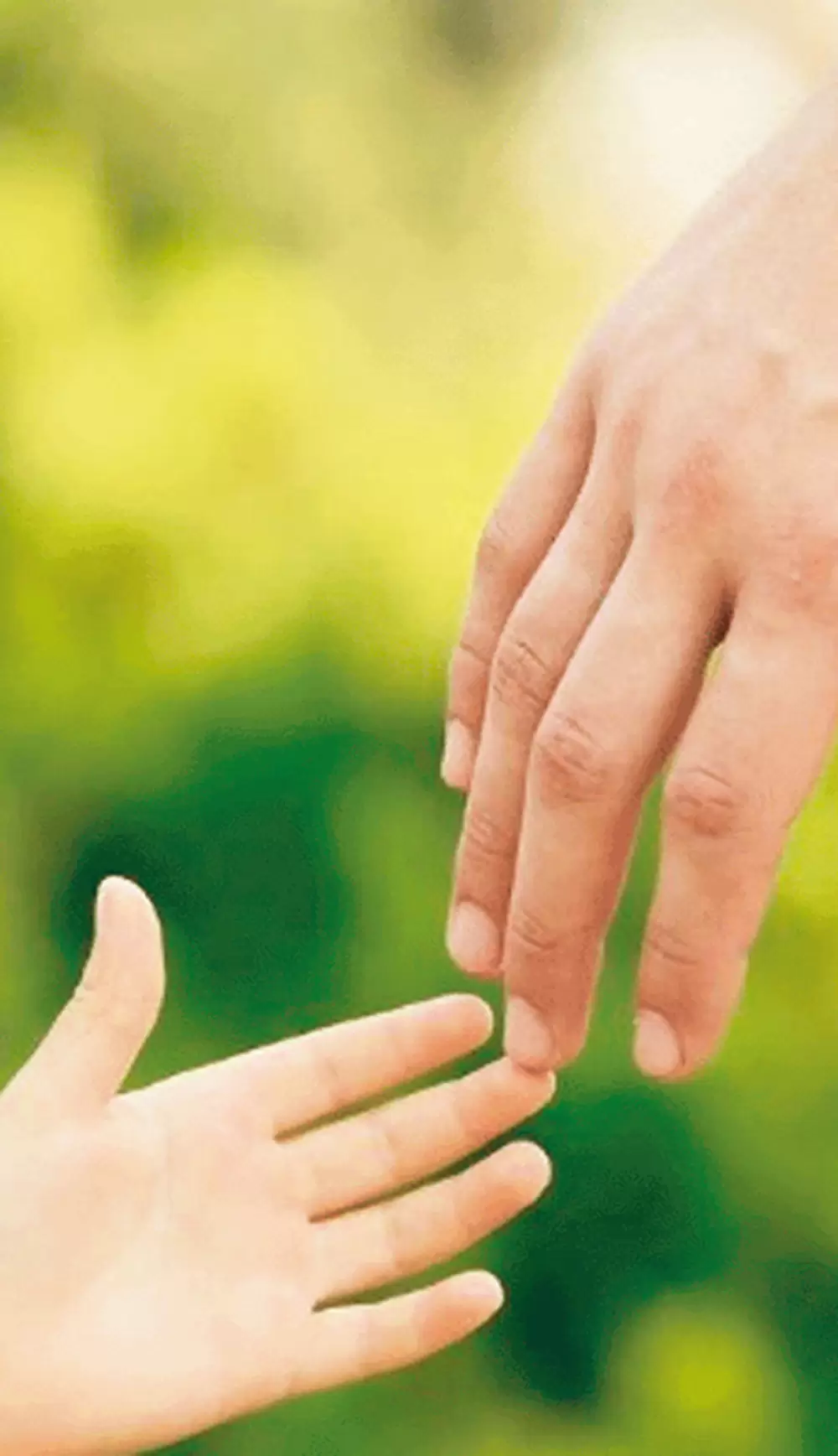 Filiación – Parte I – La Adopción