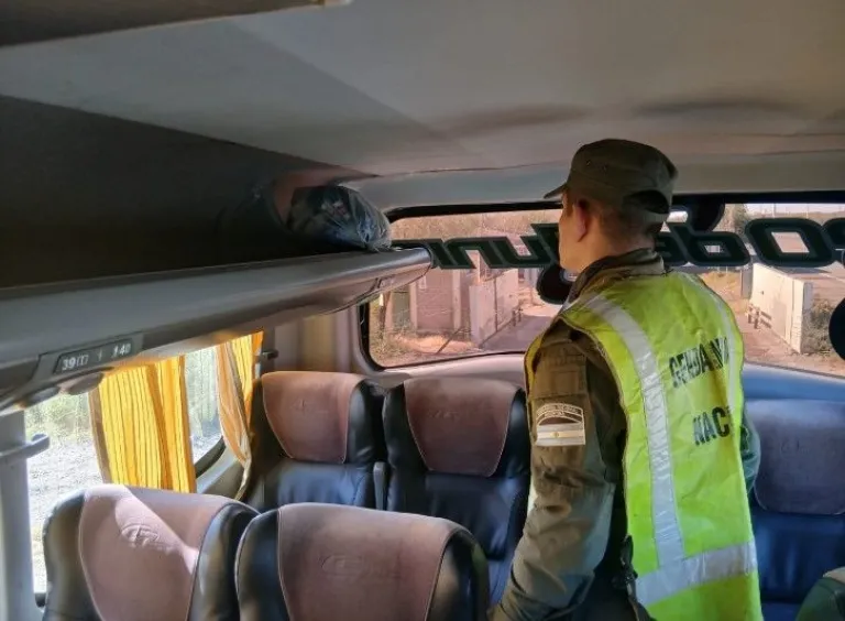 En diferentes procedimientos, Gendarmería encontró cocaína en un colectivo y plantas de marihuana en un baldío