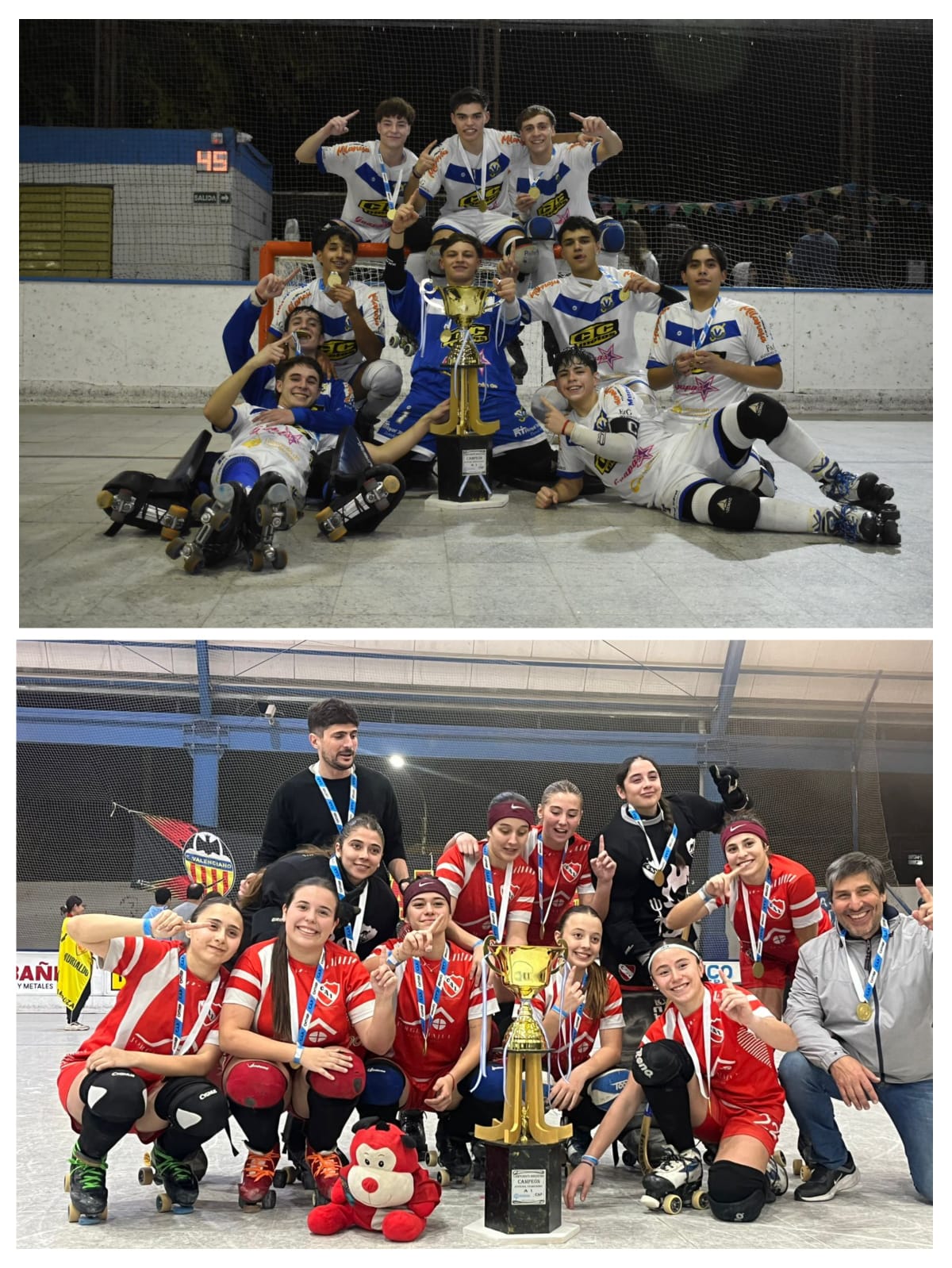 Hockey Sobre Patines: Olimpia e Independiente los campeones argentinos