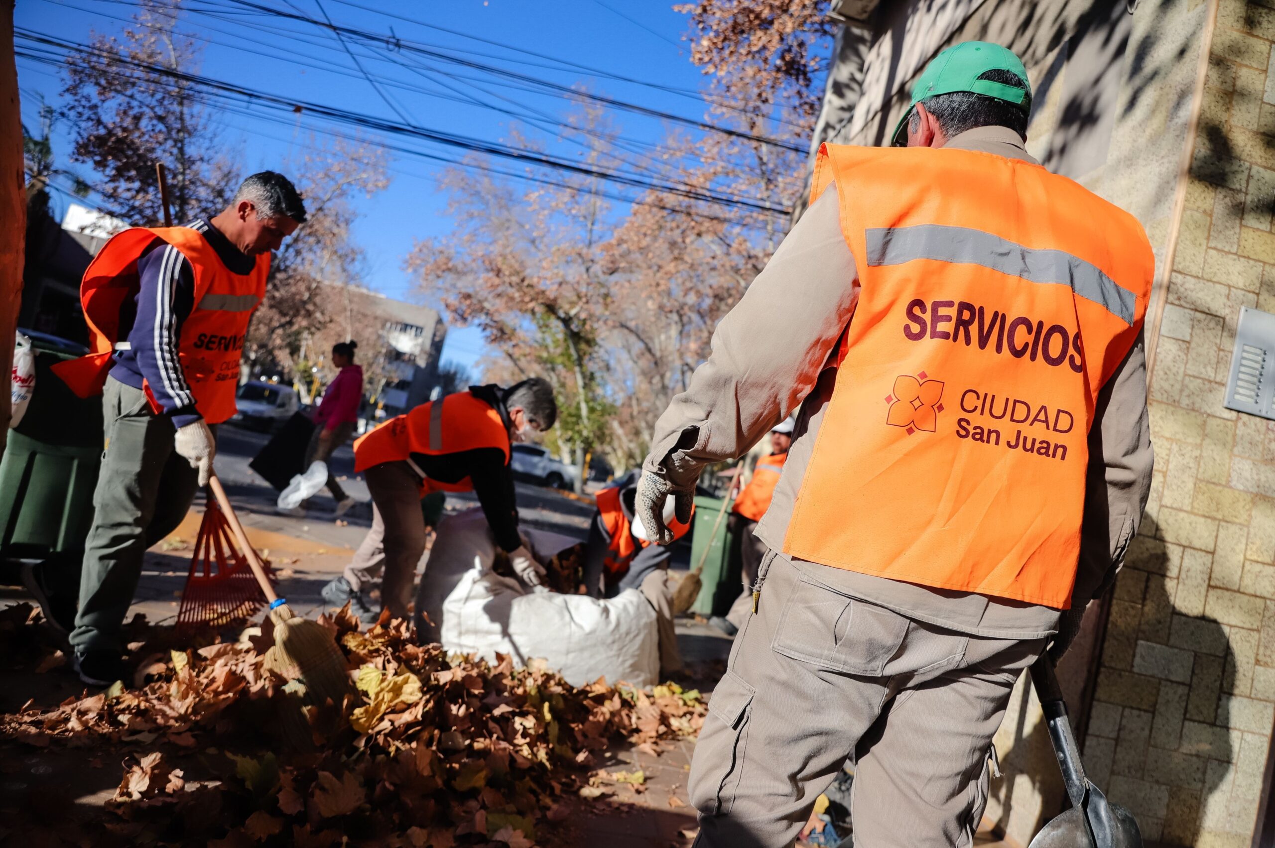 Capital continúa con el cronograma de limpieza y poda en las calles