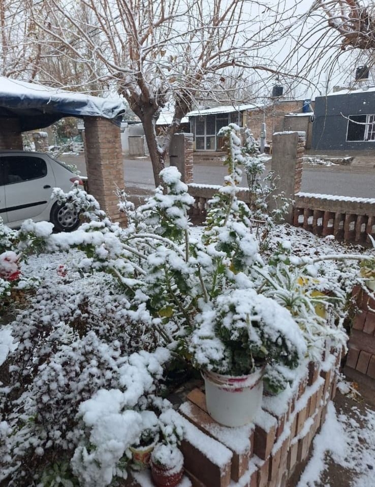 La nieve y agua nieve, fueron protagonistas este domingo frío con temperaturas bajo cero